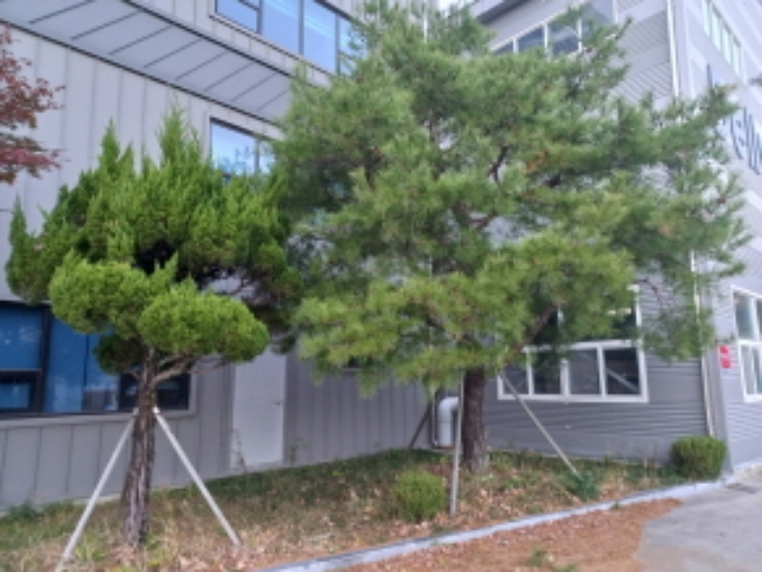 경상남도 산청군 금서면 매촌리 1348 외 1필지 공장 경매 사진 6