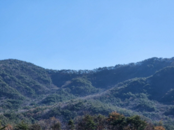 울산광역시 울주군 상북면 덕현리 산157-3 임야 경매 사진 2