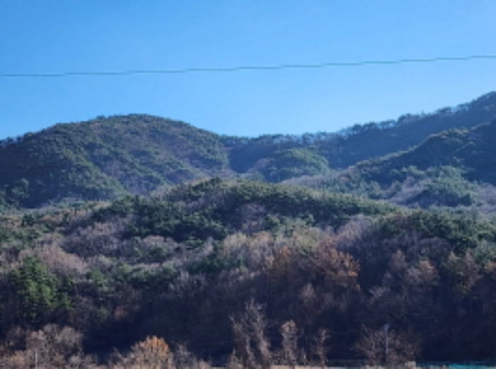 울산광역시 울주군 상북면 덕현리 산157-3 임야 경매 사진 4