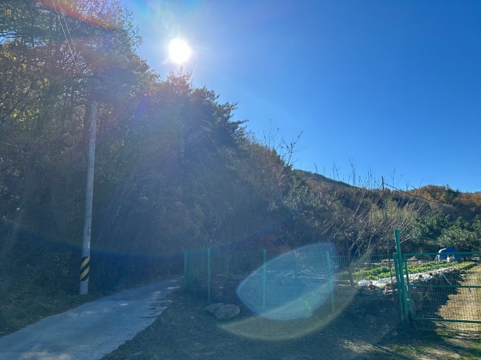 울산광역시 울주군 상북면 덕현리 산157-3 임야 경매 사진 5