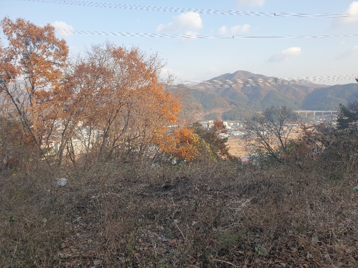 부산광역시 기장군 정관읍 달산리 산24 임야 경매 사진 2