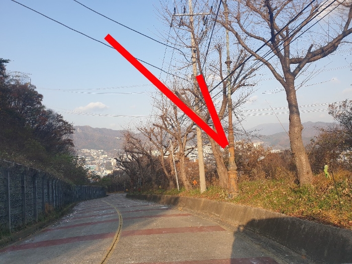 부산광역시 기장군 정관읍 달산리 산24 임야 경매 사진 4