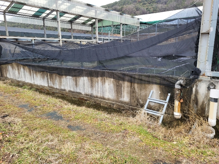 경상남도 창녕군 유어면 선소리 131-1 외 4필지 양어장 경매 사진 13