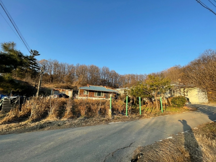 경기도 파주시 법원읍 대능리 140-1 전 경매 사진 8