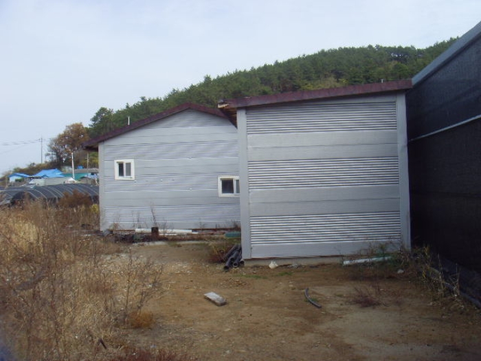 전라남도 완도군 노화읍 신양리 171 외 4필지 창고시설 경매 사진 1