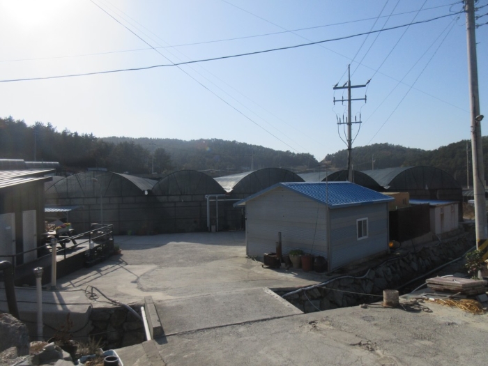 전라남도 완도군 노화읍 신양리 171 외 4필지 창고시설 경매 사진 38