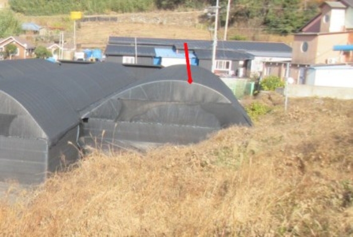 전라남도 완도군 노화읍 신양리 171 외 4필지 창고시설 경매 사진 68