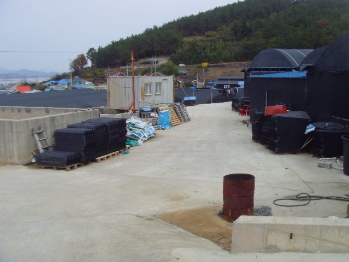 전라남도 완도군 노화읍 신양리 171 외 4필지 창고시설 경매 사진 10