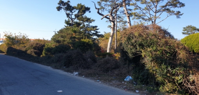 부산광역시 강서구 대저1동 305-4 외 5필지 전 경매 사진 1