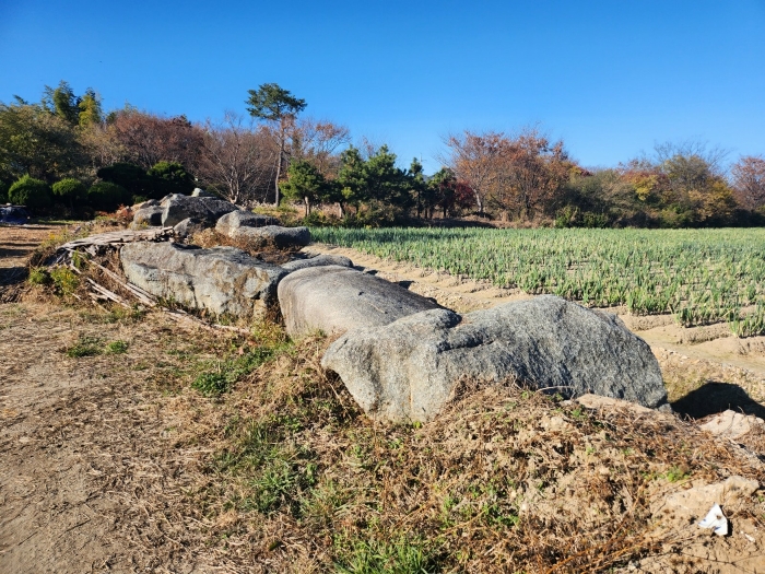 부산광역시 강서구 대저1동 305-4 외 5필지 전 경매 사진 23