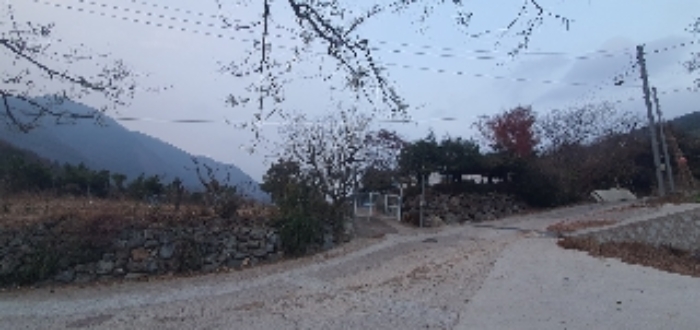 경상남도 창원시 마산회원구 내서읍 신감리 175 단독주택 경매 사진 1