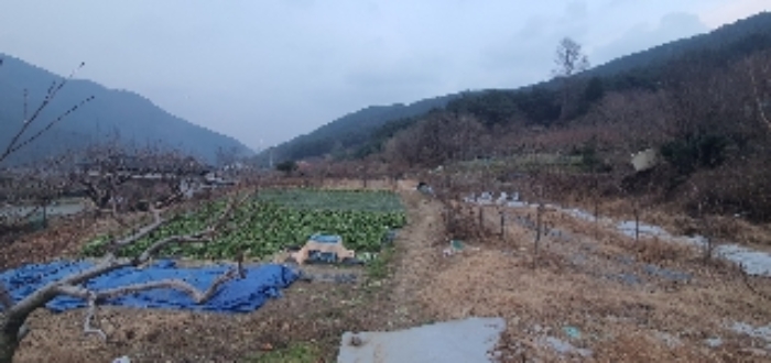 경상남도 창원시 마산회원구 내서읍 신감리 175 단독주택 경매 사진 2