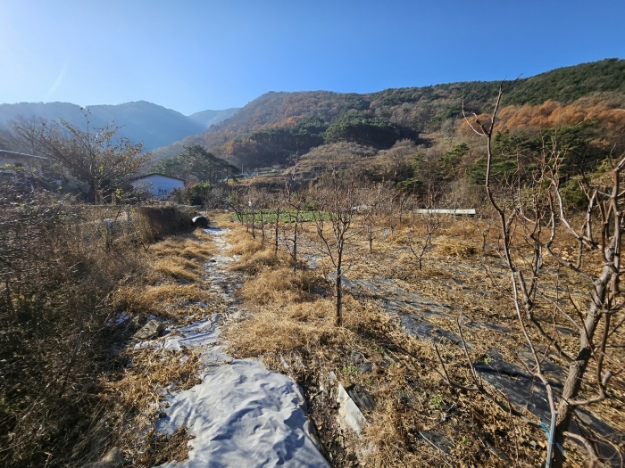 경상남도 창원시 마산회원구 내서읍 신감리 175 단독주택 경매 사진 11