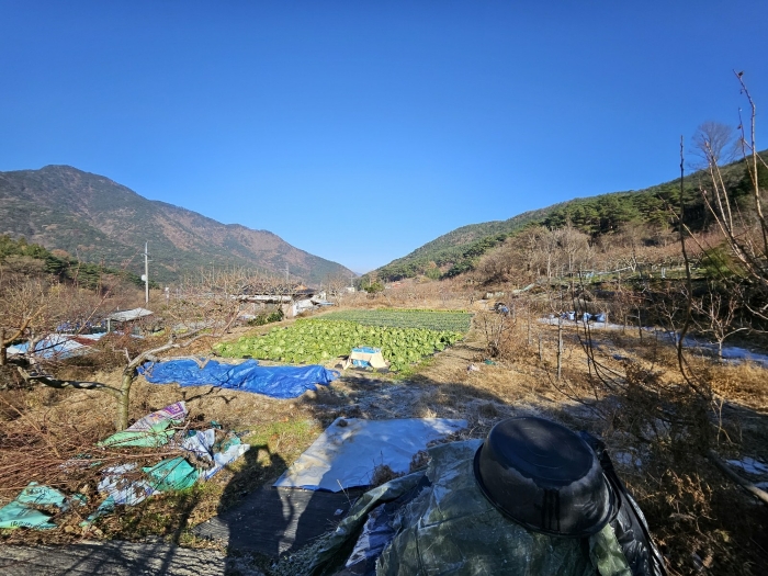 경상남도 창원시 마산회원구 내서읍 신감리 175 단독주택 경매 사진 16