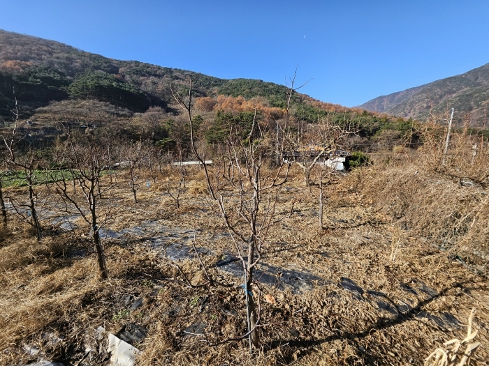 경상남도 창원시 마산회원구 내서읍 신감리 175 단독주택 경매 사진 17