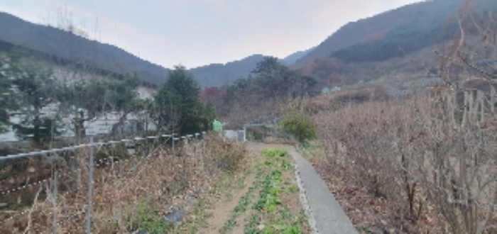 경상남도 창원시 마산회원구 내서읍 신감리 175 단독주택 경매 사진 3