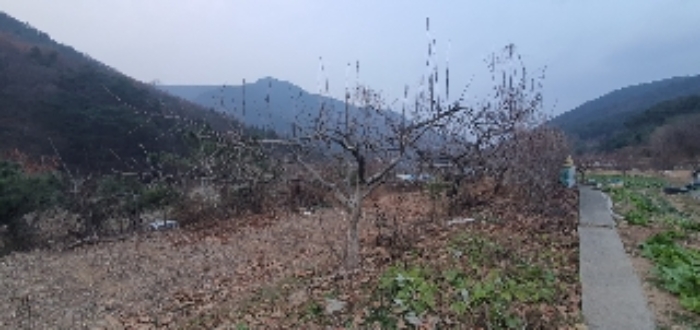 경상남도 창원시 마산회원구 내서읍 신감리 175 단독주택 경매 사진 7