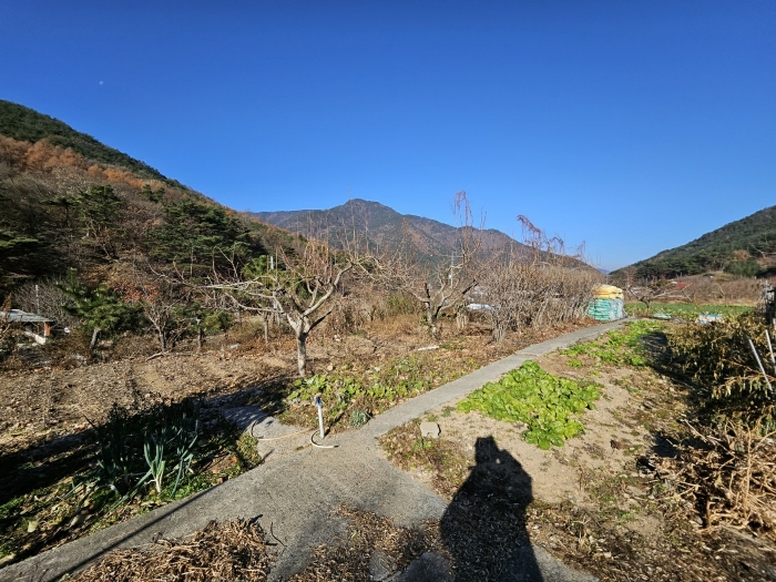 경상남도 창원시 마산회원구 내서읍 신감리 175 단독주택 경매 사진 10