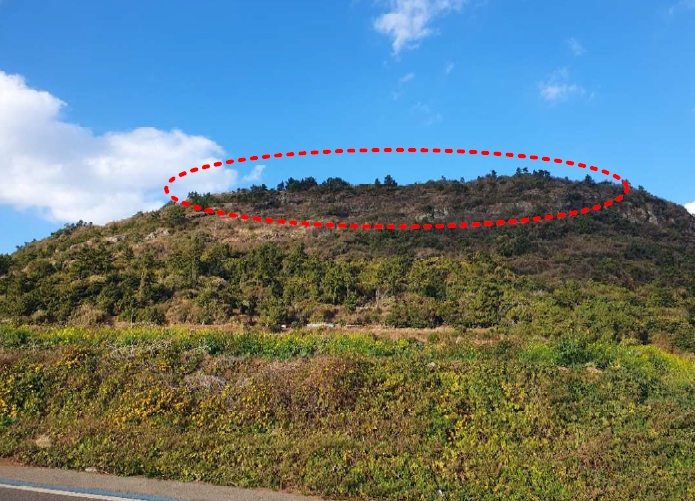 제주특별자치도 제주시 한경면 고산리 산14 외 1필지 임야 경매 사진 1