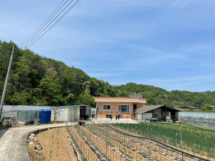 경상북도 김천시 농소면 입석리 566-1 외 2필지 단독주택 경매 사진 10