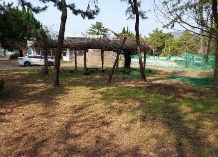 전라북도 부안군 변산면 도청리 577-30 외 13필지 유원지 경매 사진 12