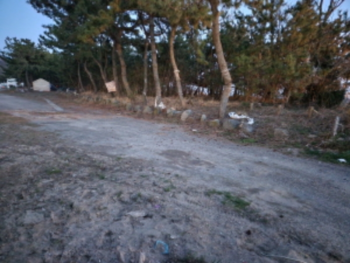 전라북도 부안군 변산면 도청리 577-30 외 13필지 유원지 경매 사진 32