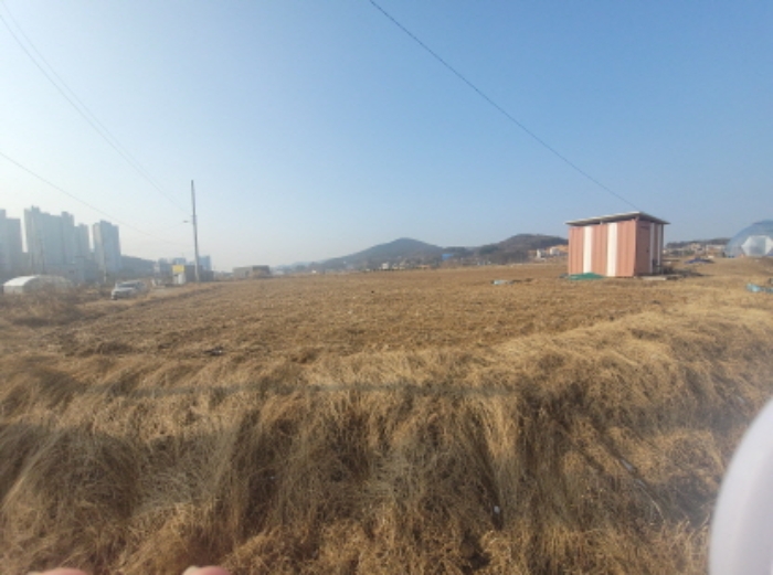 인천광역시 중구 중산동 1097-36 외 4필지 전 경매 사진 1