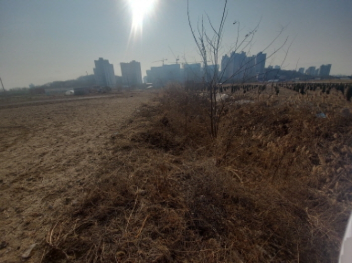 인천광역시 중구 중산동 1097-36 외 4필지 전 경매 사진 2