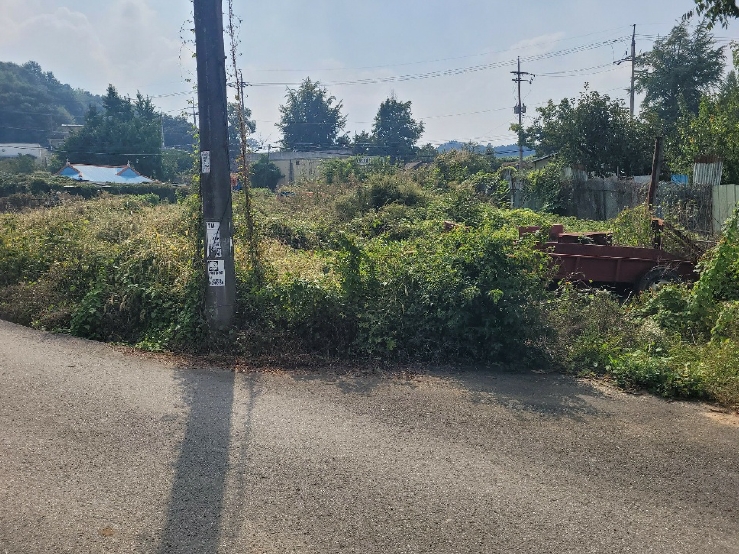 경기도 평택시 진위면 가곡리 60 대지 경매 사진 24