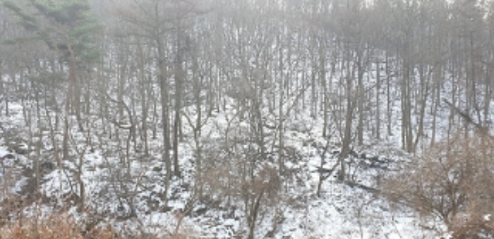 충청남도 예산군 예산읍 향천리 5 외 1필지 전 경매 사진 7