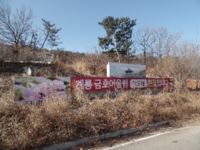 충청남도 계룡시 금암동 287-1 임야 경매 사진 2