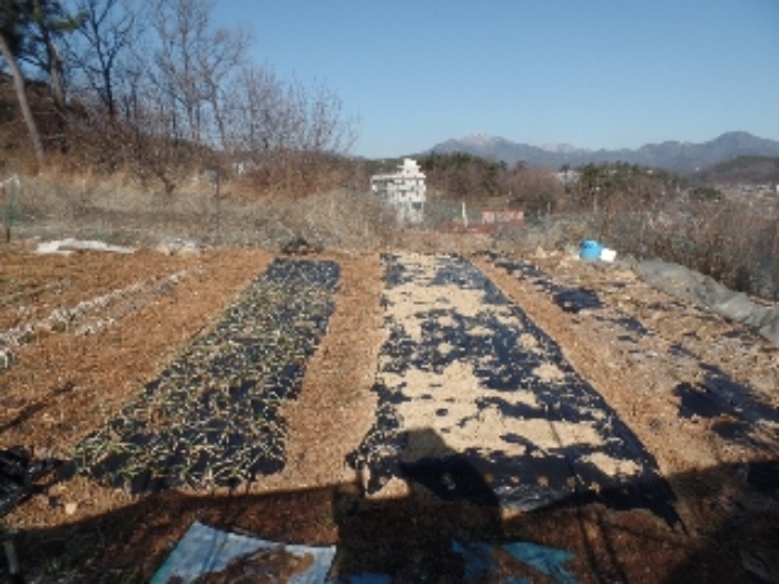 충청남도 계룡시 금암동 287-1 임야 경매 사진 3