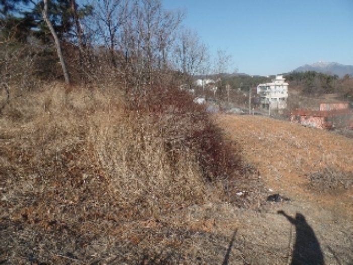 충청남도 계룡시 금암동 287-1 임야 경매 사진 4