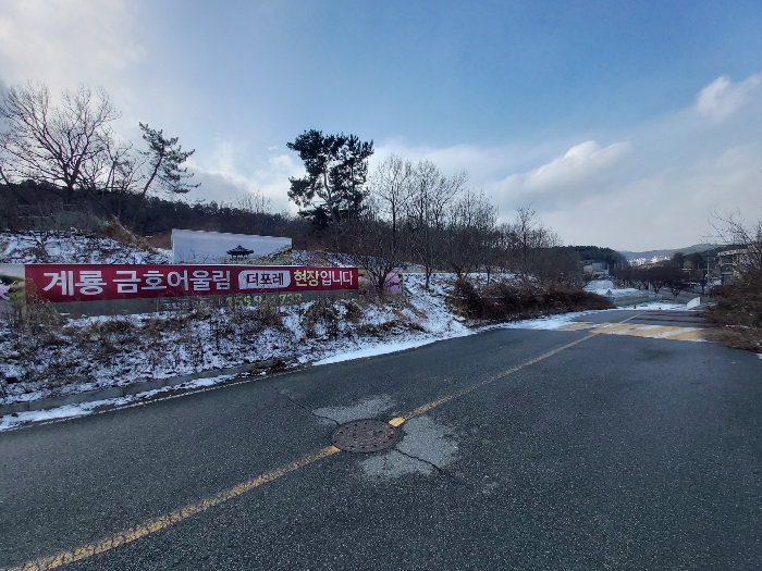 충청남도 계룡시 금암동 287-1 임야 경매 사진 9