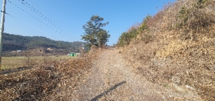 경상남도 의령군 지정면 오천리 323-3 외 4필지 공장 경매 사진 2