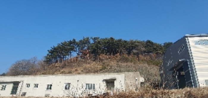 경상남도 의령군 지정면 오천리 323-3 외 4필지 공장 경매 사진 14