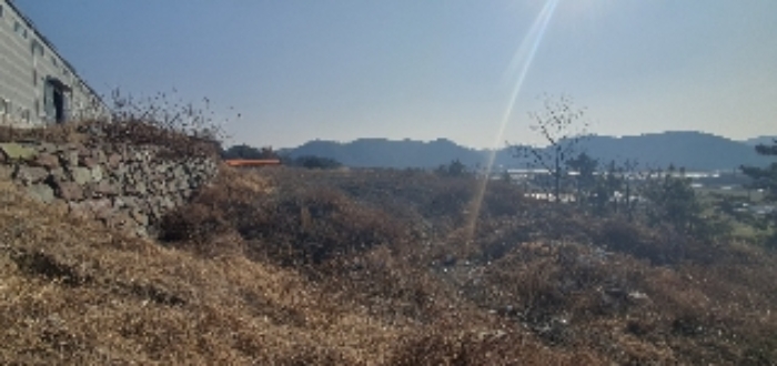 경상남도 의령군 지정면 오천리 323-3 외 4필지 공장 경매 사진 15