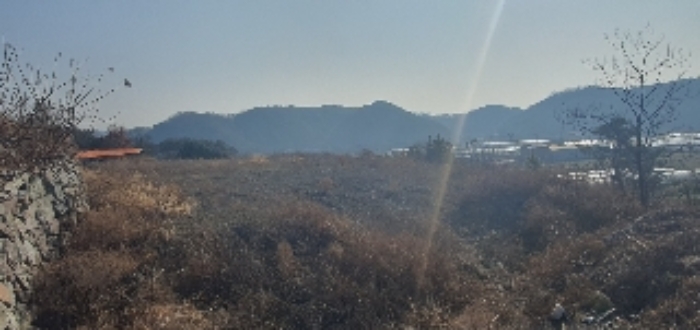 경상남도 의령군 지정면 오천리 323-3 외 4필지 공장 경매 사진 3