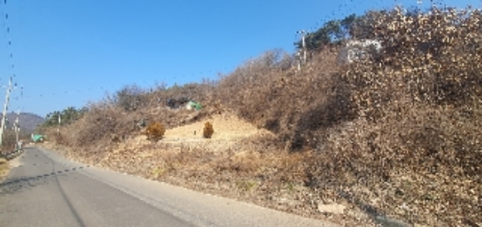 경상남도 의령군 지정면 오천리 323-3 외 4필지 공장 경매 사진 23
