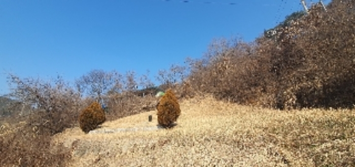 경상남도 의령군 지정면 오천리 323-3 외 4필지 공장 경매 사진 24