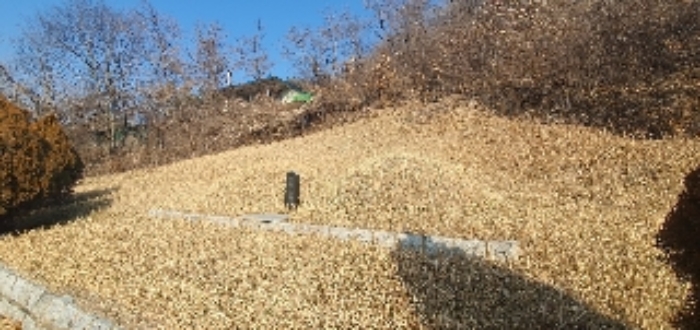 경상남도 의령군 지정면 오천리 323-3 외 4필지 공장 경매 사진 25