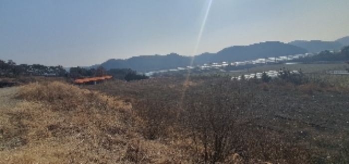경상남도 의령군 지정면 오천리 323-3 외 4필지 공장 경매 사진 4