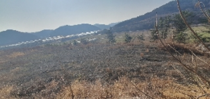 경상남도 의령군 지정면 오천리 323-3 외 4필지 공장 경매 사진 5