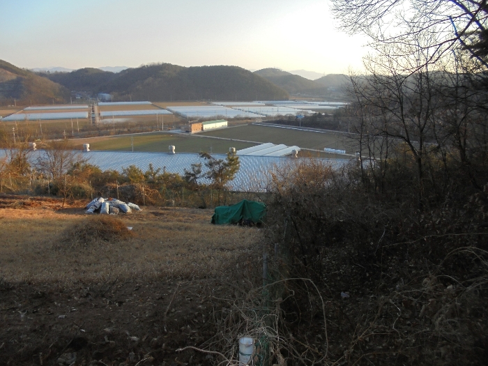 경상남도 의령군 지정면 오천리 323-3 외 4필지 공장 경매 사진 42