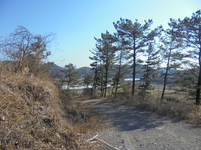 경상남도 의령군 지정면 오천리 323-3 외 4필지 공장 경매 사진 45