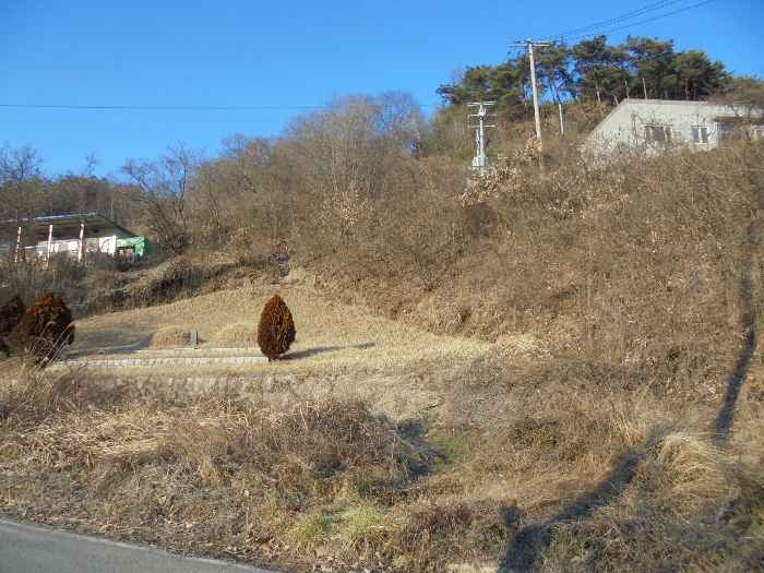경상남도 의령군 지정면 오천리 323-3 외 4필지 공장 경매 사진 50