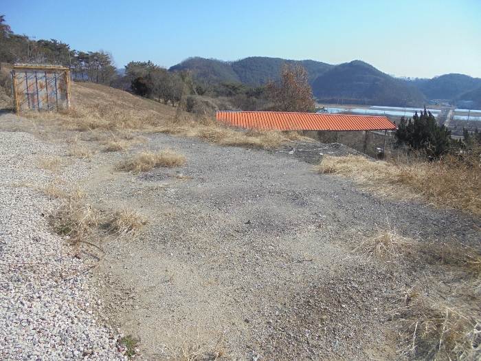 경상남도 의령군 지정면 오천리 323-3 외 4필지 공장 경매 사진 53