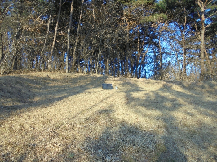 경상남도 의령군 지정면 오천리 323-3 외 4필지 공장 경매 사진 65