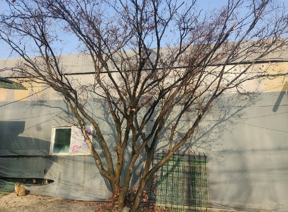 경기도 포천시 소흘읍 이동교리 331-9 외 1필지 공장 경매 사진 8