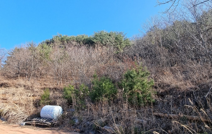 경상남도 하동군 적량면 동리 993-2 외 15필지 교육연구시설 경매 사진 34